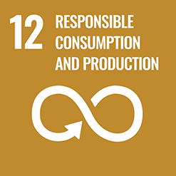 12. Responsible consumption, production